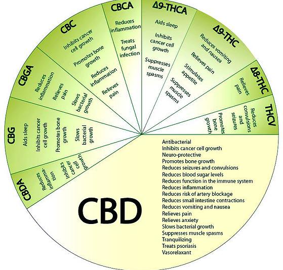 CBD benefits detla 8 delta 9 THC