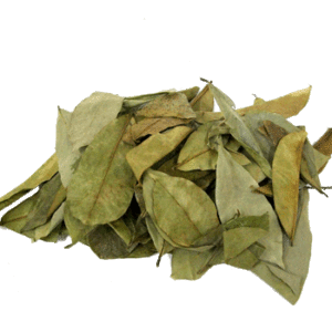 Graviola Soursop loose leaf tea Cancer