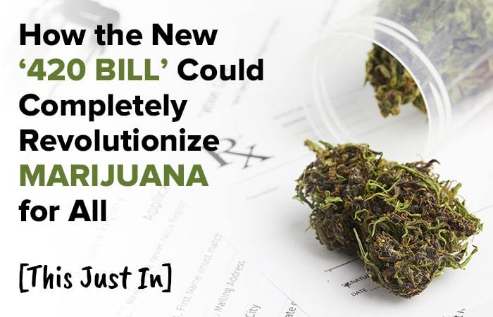 Its Official!!! – 420 Bill – to Federally Legalize Marijuana Has Been Introduced