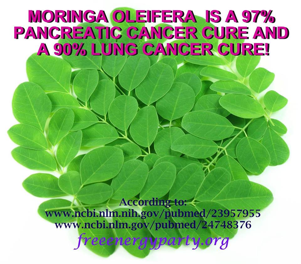 Moringa Lung Pancreatic Cancer