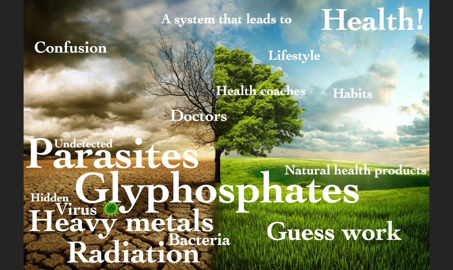 Parasites Glyphosphates Heavy metals detox by CellCore BioSciences