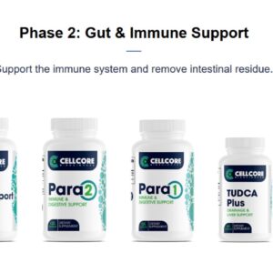 CellCore BioScience Phase 2 contents Gut Immune